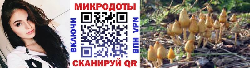 Псилоцибиновые грибы мухоморы  Алатырь 